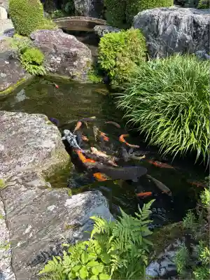 神峯寺(高知県)