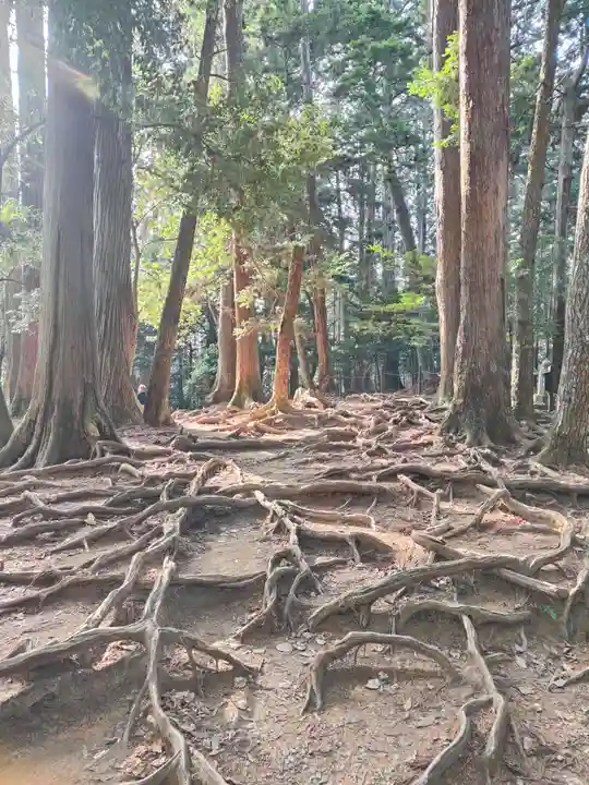 鞍馬寺(京都府)