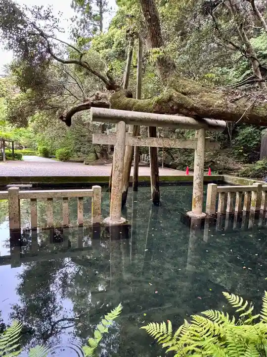 鹿島神宮の{uncategorized: "未分類", other: "その他", undefined: "問題あり", building: "その他建物", grave: "お墓", sacred_gate: "鳥居", guardian: "狛犬", statue: "像", buddha: "仏像", history: "歴史", nature: "自然", garden: "庭園", animal: "動物", pagoda: "塔", temizu: "手水舎", mountain_gate: "山門・神門", sanctuary: "本殿・本堂", subordinate: "末社・摂社", art: "芸術", scenery: "景色", jizo: "地蔵", ema: "絵馬", goshuin: "御朱印", omikuji: "おみくじ", items: "授与品その他", amulet: "お守り", goshuincho: "御朱印帳", eats: "食事", festival: "お祭り", votive_dance: "神楽", shichigosan: "七五三参", wedding: "結婚式", experience: "体験その他", initially: "初詣", around: "周辺", anti_infection: "感染症対策"}