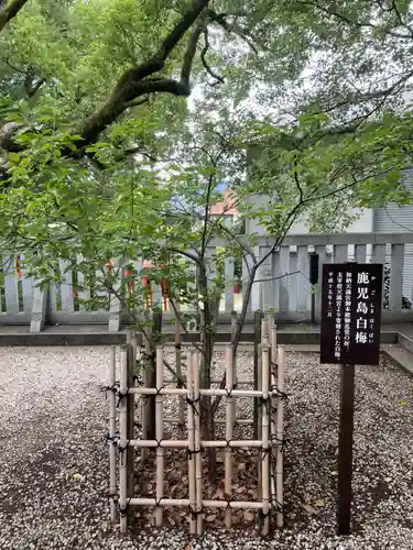 加納天満宮(岐阜県)