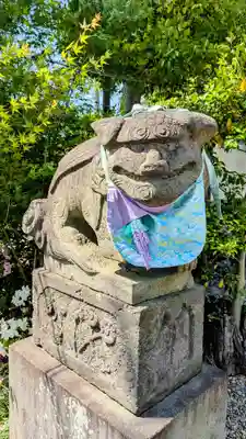 菊田神社の狛犬
