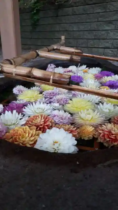 千歳神社の手水舎