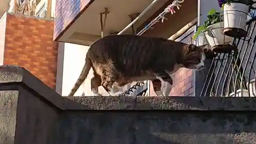 小野照崎神社の動物