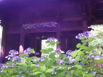 妙本寺の本殿・本堂