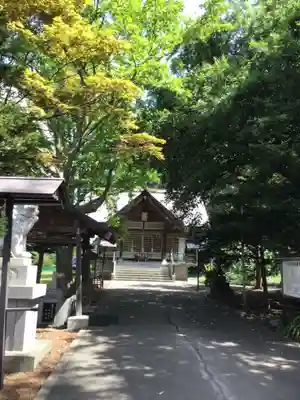 大麻神社の本殿・本堂
