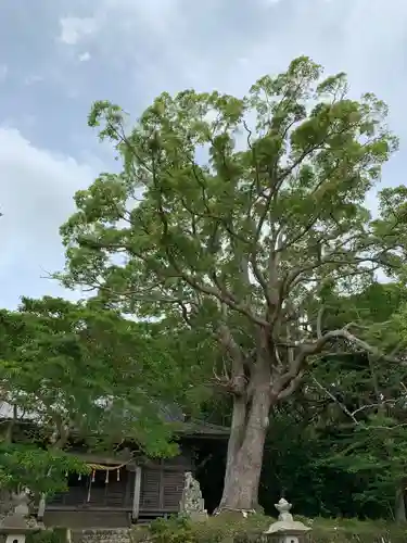 愛宕神社の自然