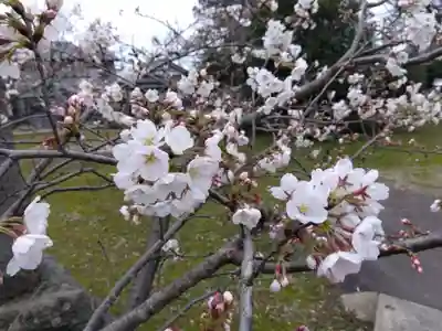 日吉神社(福井県)