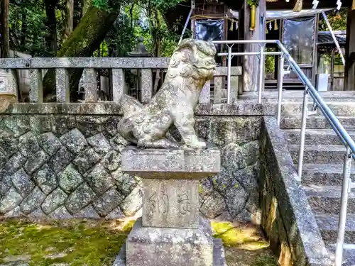 樹木神社の狛犬