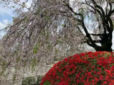 宗泉寺の{uncategorized: "未分類", other: "その他", undefined: "問題あり", building: "その他建物", grave: "お墓", sacred_gate: "鳥居", guardian: "狛犬", statue: "像", buddha: "仏像", history: "歴史", nature: "自然", garden: "庭園", animal: "動物", pagoda: "塔", temizu: "手水舎", mountain_gate: "山門・神門", sanctuary: "本殿・本堂", subordinate: "末社・摂社", art: "芸術", scenery: "景色", jizo: "地蔵", ema: "絵馬", goshuin: "御朱印", omikuji: "おみくじ", items: "授与品その他", amulet: "お守り", goshuincho: "御朱印帳", eats: "食事", festival: "お祭り", votive_dance: "神楽", shichigosan: "七五三参", wedding: "結婚式", experience: "体験その他", initially: "初詣", around: "周辺", anti_infection: "感染症対策"}