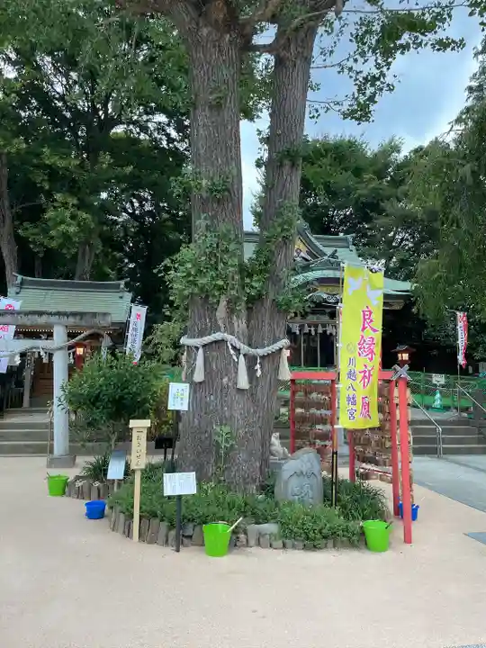 川越八幡宮(埼玉県)