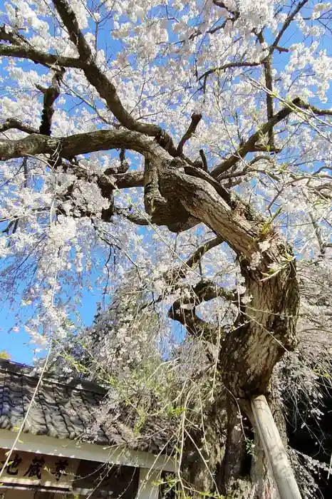 能満寺の建物その他