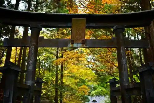 三峯神社(埼玉県)