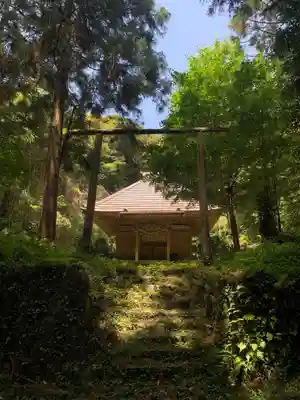 安房大杉神社(千葉県)