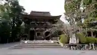 園城寺(三井寺)の山門・神門