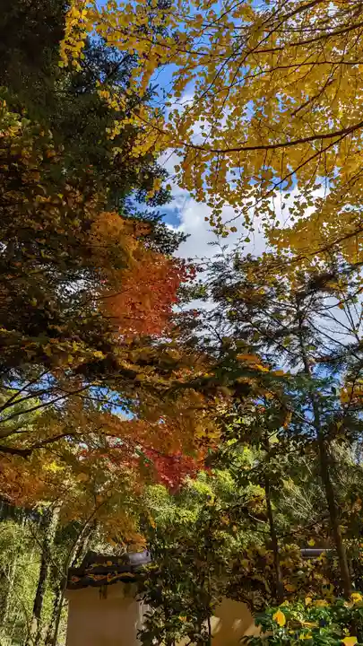 観音寺(京都府)