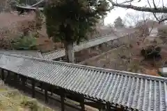 長谷寺の建物その他