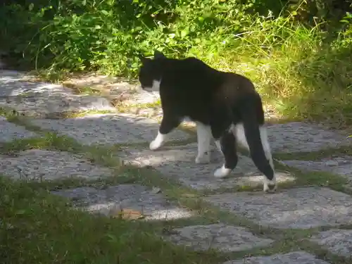 浄光明寺の動物