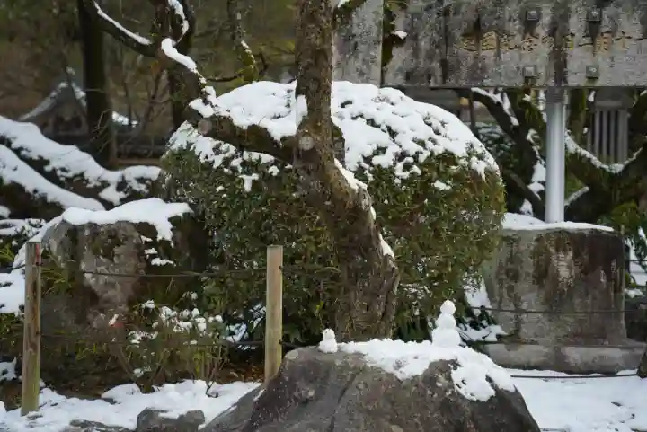 太宰府天満宮の自然