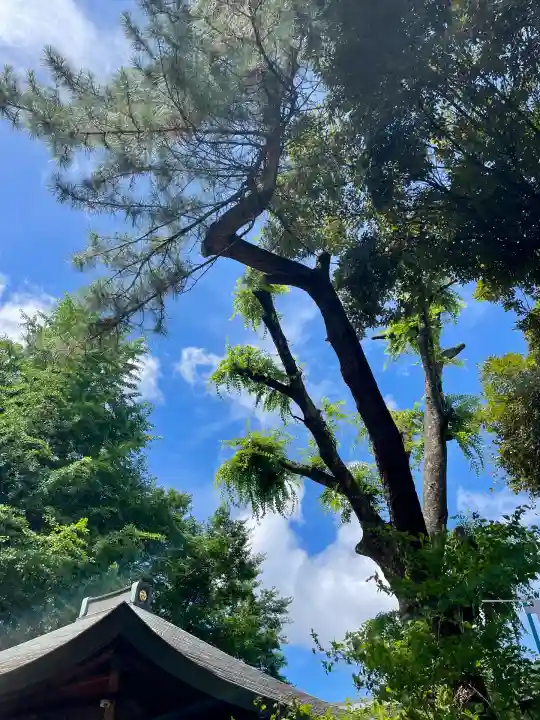 稲荷神社(上目黒鎮座)(東京都)