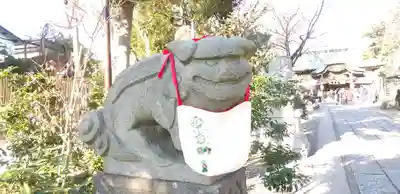 菊田神社の狛犬