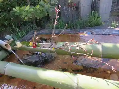 元興寺の手水舎