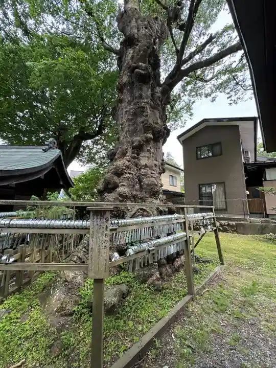 子安神社(長野県)