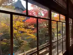 禅林寺（永観堂）の本殿