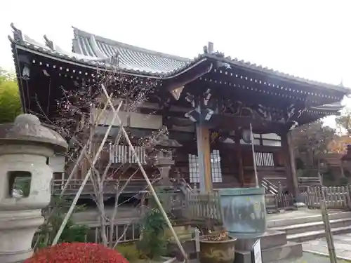 妙蓮寺の本殿・本堂