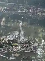 白山神社(新潟県)
