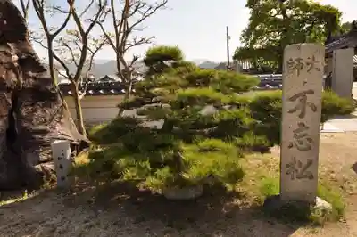 泰山寺(愛媛県)
