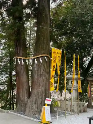 聖神社の{uncategorized: "未分類", other: "その他", undefined: "問題あり", building: "その他建物", grave: "お墓", sacred_gate: "鳥居", guardian: "狛犬", statue: "像", buddha: "仏像", history: "歴史", nature: "自然", garden: "庭園", animal: "動物", pagoda: "塔", temizu: "手水舎", mountain_gate: "山門・神門", sanctuary: "本殿・本堂", subordinate: "末社・摂社", art: "芸術", scenery: "景色", jizo: "地蔵", ema: "絵馬", goshuin: "御朱印", omikuji: "おみくじ", items: "授与品その他", amulet: "お守り", goshuincho: "御朱印帳", eats: "食事", festival: "お祭り", votive_dance: "神楽", shichigosan: "七五三参", wedding: "結婚式", experience: "体験その他", initially: "初詣", around: "周辺", anti_infection: "感染症対策"}