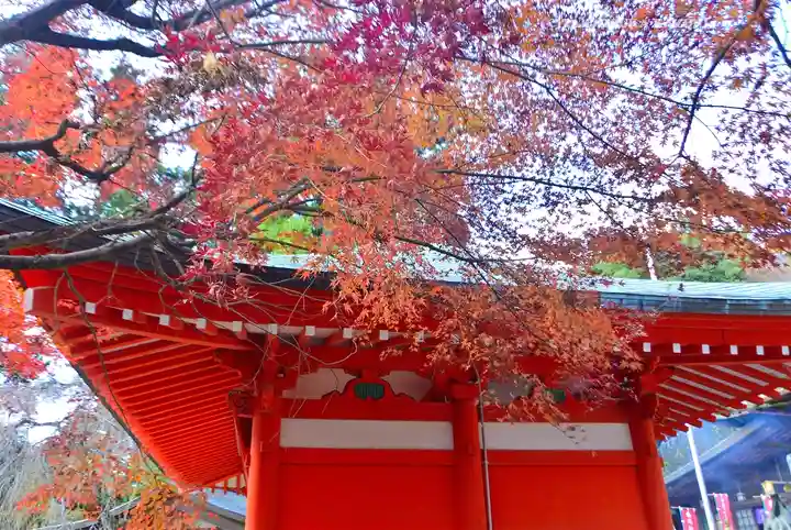 高尾山薬王院(東京都)