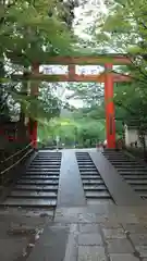 八坂神社(祇園さん)(京都府)