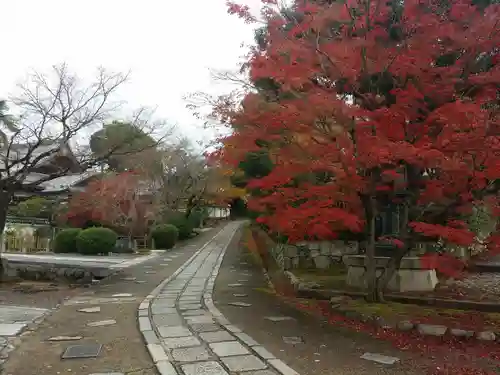 真正極楽寺（真如堂）のその他建物