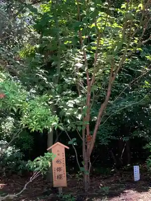 寒川神社(神奈川県)