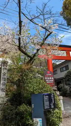 宇治神社の自然