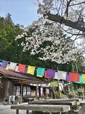 【公式】龍門院常楽寺（秩父札所十一番）(埼玉県)