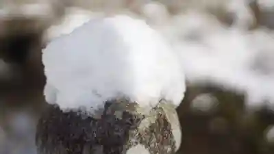 松尾大社(京都府)