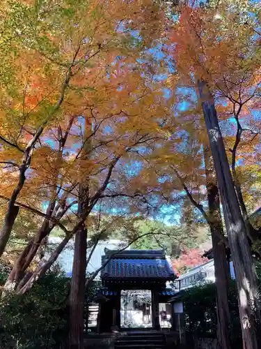 吸湖山　青岸寺の山門