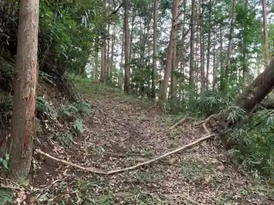 秋葉神社の周辺