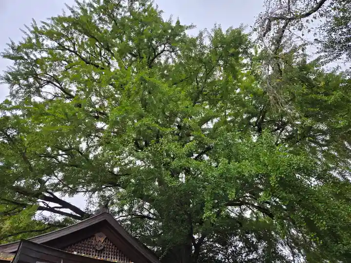 来迎院(奈良県)