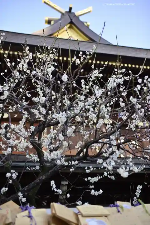 湯島天満宮(東京都)