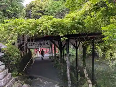 富士山本宮浅間大社(静岡県)