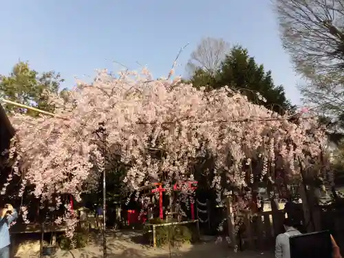 水火天満宮の庭園