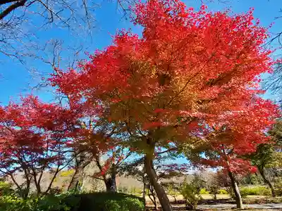 緑水神社の自然