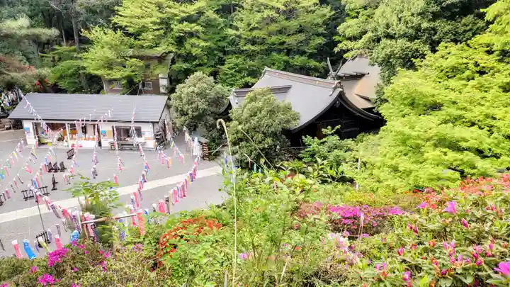 武州白子熊野神社(埼玉県)