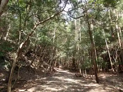 胡禄神社の自然