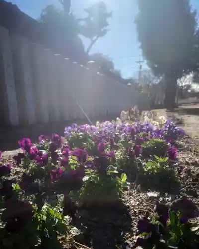 秋葉神社の自然