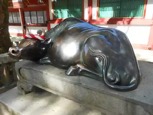 太宰府天満宮(福岡県)