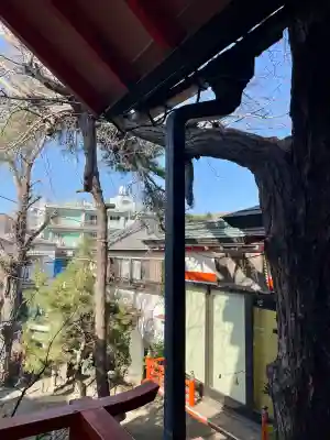 於玉稲荷神社の{uncategorized: "未分類", other: "その他", undefined: "問題あり", building: "その他建物", grave: "お墓", sacred_gate: "鳥居", guardian: "狛犬", statue: "像", buddha: "仏像", history: "歴史", nature: "自然", garden: "庭園", animal: "動物", pagoda: "塔", temizu: "手水舎", mountain_gate: "山門・神門", sanctuary: "本殿・本堂", subordinate: "末社・摂社", art: "芸術", scenery: "景色", jizo: "地蔵", ema: "絵馬", goshuin: "御朱印", omikuji: "おみくじ", items: "授与品その他", amulet: "お守り", goshuincho: "御朱印帳", eats: "食事", festival: "お祭り", votive_dance: "神楽", shichigosan: "七五三参", wedding: "結婚式", experience: "体験その他", initially: "初詣", around: "周辺", anti_infection: "感染症対策"}